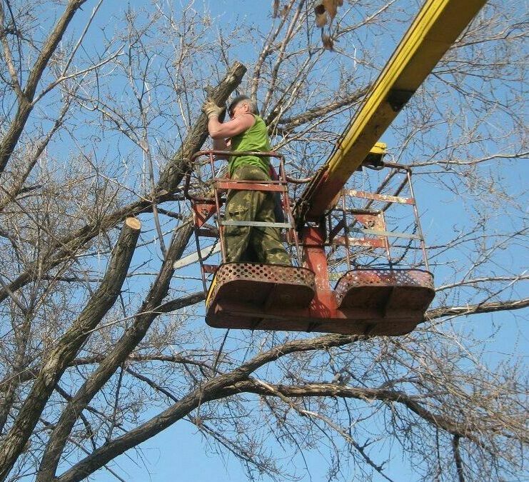 Удаление аварийных деревьев в Новокуйбышевске